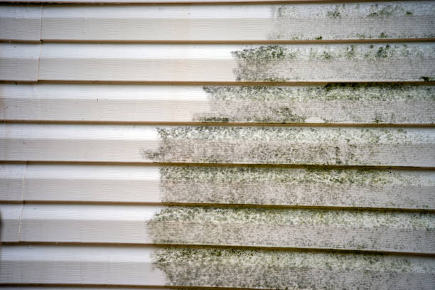Best Composite Siding  in Parklawn, CA